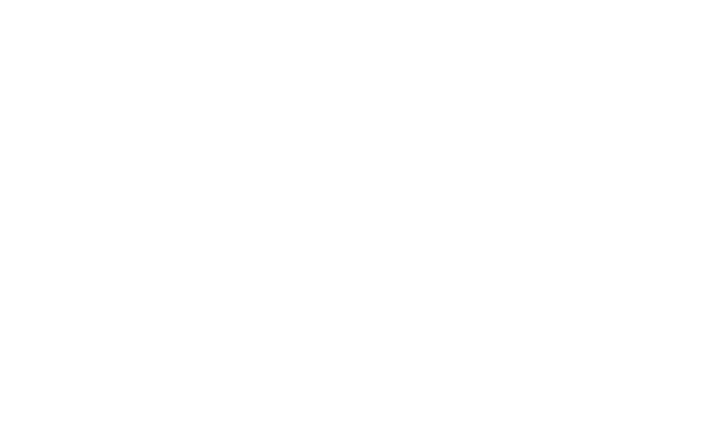 LV Plastic Surgery logo